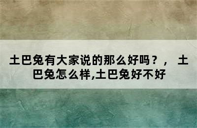 土巴兔有大家说的那么好吗？， 土巴兔怎么样,土巴兔好不好